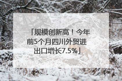 规模创新高！今年前5个月四川外贸进出口增长7.5%